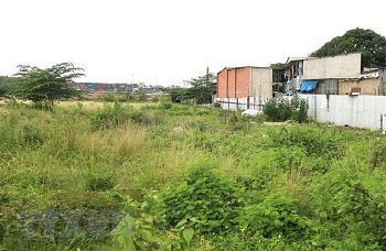 TP. HCM muốn chuyển mục đích sử dụng 385ha đất ở Hóc Môn từ cây xanh sang nhà ở