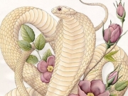 2021 Tân Sửu, chọn tuổi nào xông nhà tốt cho gia chủ tuổi Tỵ?