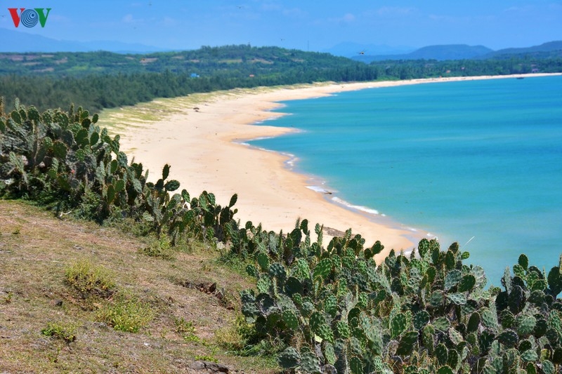 vi vu o nhung diem den an toan hap dan cua du lich viet nam