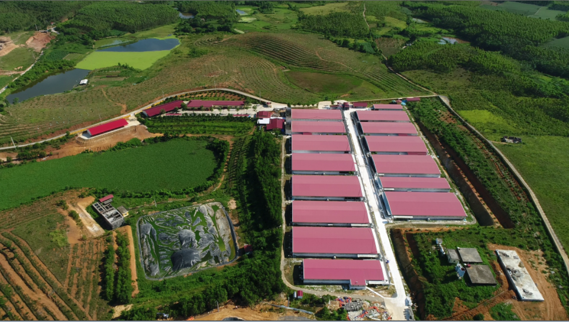 phu tho so tn mt len tieng viec dabaco viet nam vi pham ve moi truong