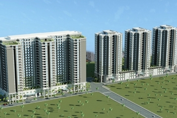 Vì sao doanh nghiệp “ngại” xây dựng nhà cho thuê