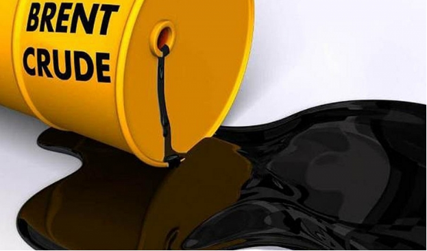 Loại dầu nào được tham gia giao dịch? Sàn giao dịch dầu uy tín?