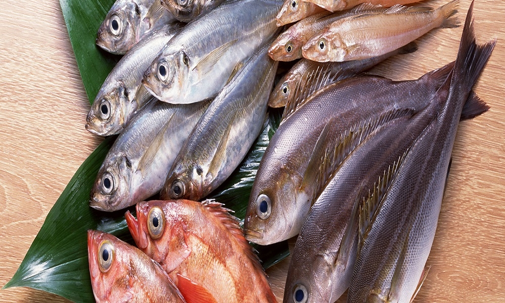 Phụ nữ mang thai không nên ăn gì