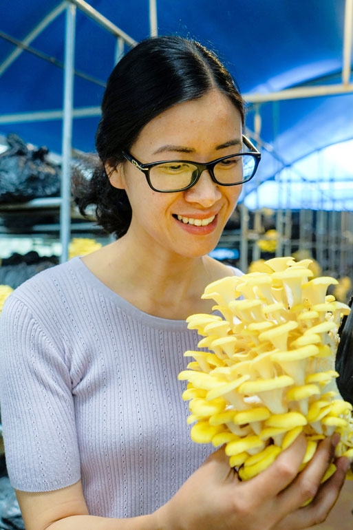 Công diễn 