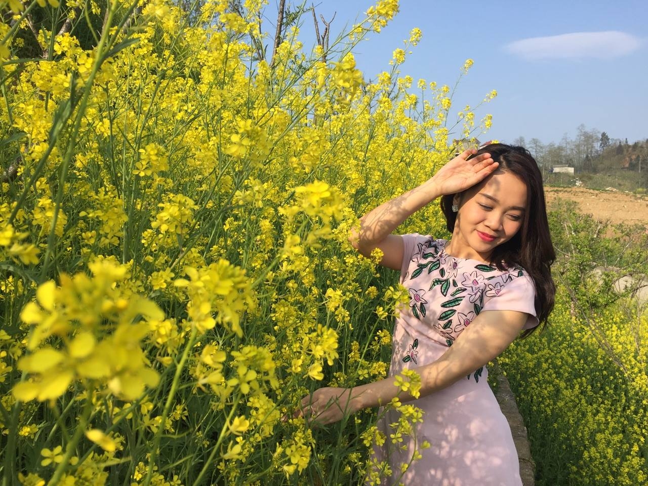 Mùa hoa cải vàng đẹp ngất ngây tại Sa Pa