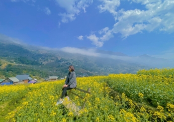 Mùa hoa cải vàng đẹp ngất ngây tại Sa Pa