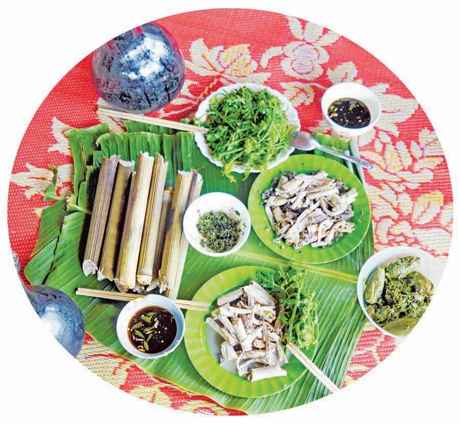 Về rừng thưởng thức đặc sản đọt mây