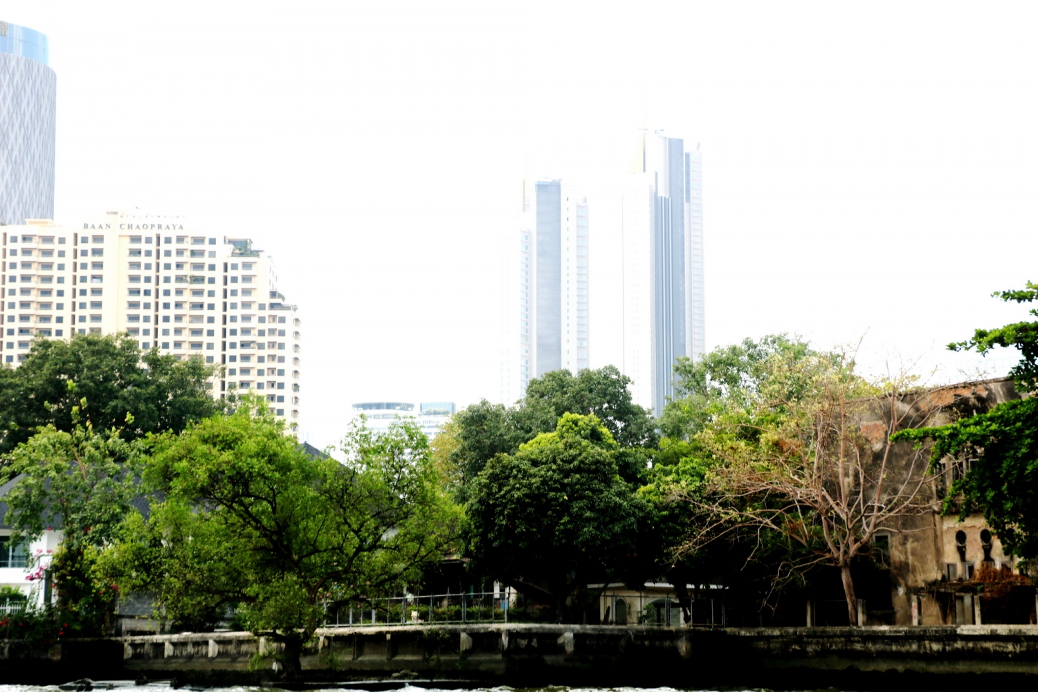 Có một dòng sông dành riêng cho cá