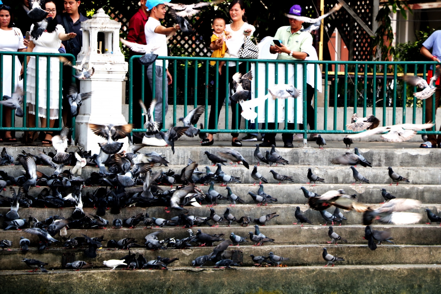 Có một dòng sông dành riêng cho cá