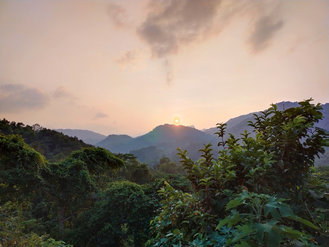 Di sản địa chất san hô cổ Lang Môn - Điểm dừng chân đầu tiên trong tuyến trải nghiệm phía Tây CVĐC non nước Cao Bằng Di sản địa chất san hô cổ Lang Môn - Điểm dừng chân đầu tiên trong tuyến trải nghiệm phía Tây CVĐC non nước Cao Bằng