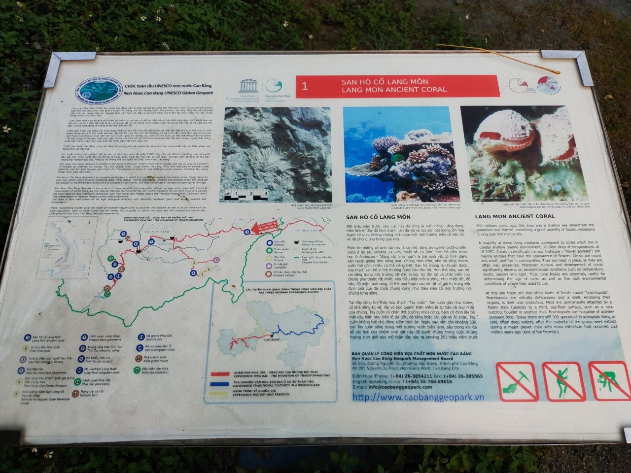 Di sản địa chất san hô cổ Lang Môn - Điểm dừng chân đầu tiên trong tuyến trải nghiệm phía Tây CVĐC non nước Cao Bằng Di sản địa chất san hô cổ Lang Môn - Điểm dừng chân đầu tiên trong tuyến trải nghiệm phía Tây CVĐC non nước Cao Bằng