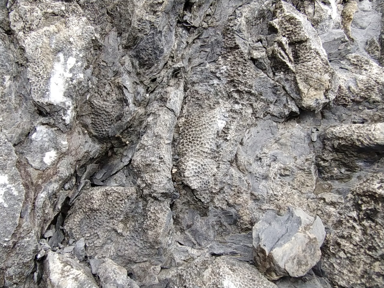 Di sản địa chất san hô cổ Lang Môn - Điểm dừng chân đầu tiên trong tuyến trải nghiệm phía Tây CVĐC non nước Cao Bằng Di sản địa chất san hô cổ Lang Môn - Điểm dừng chân đầu tiên trong tuyến trải nghiệm phía Tây CVĐC non nước Cao Bằng