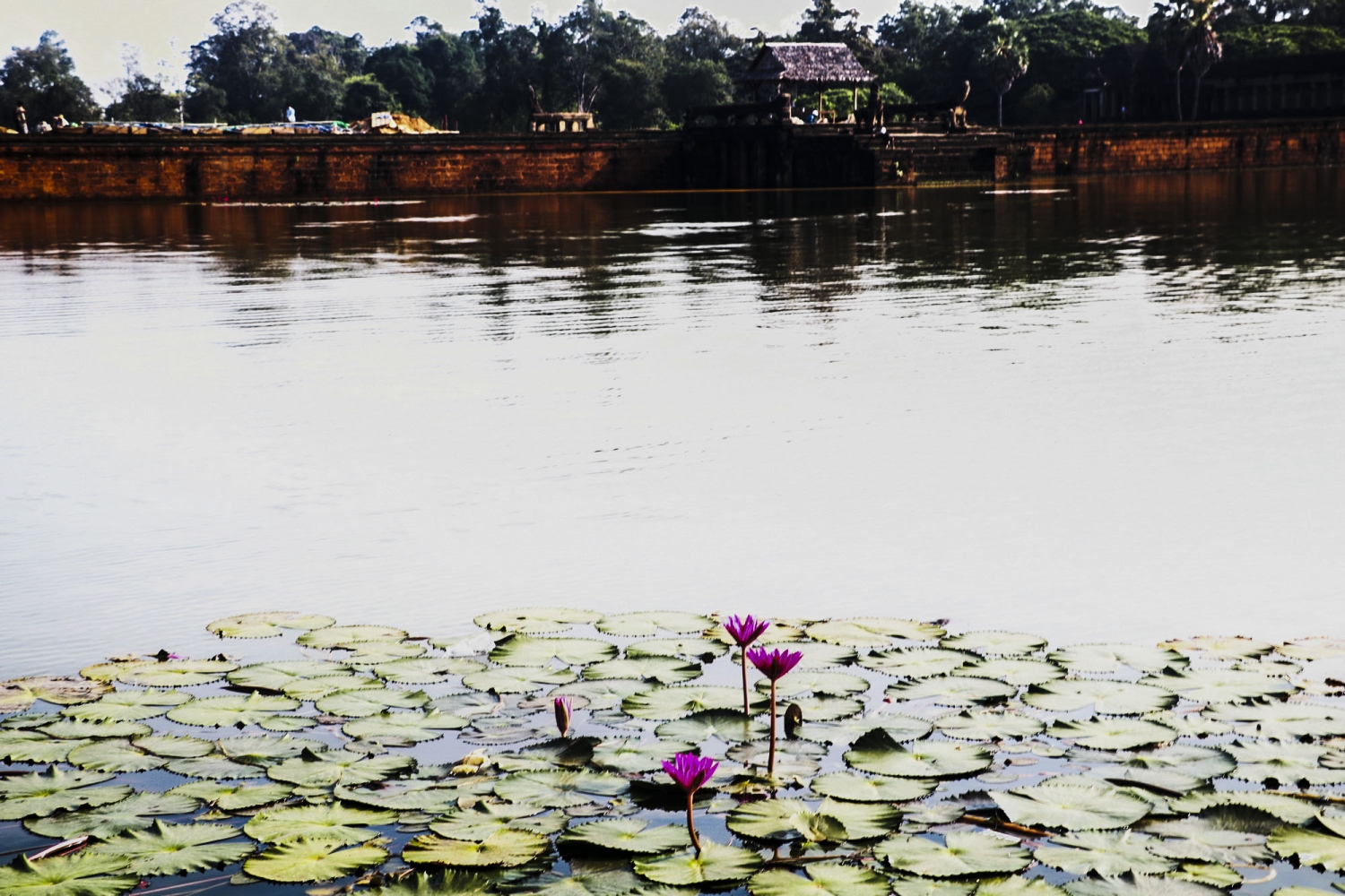 Để lại dấu chân Angkor Wat Để lại dấu chân Angkor Wat