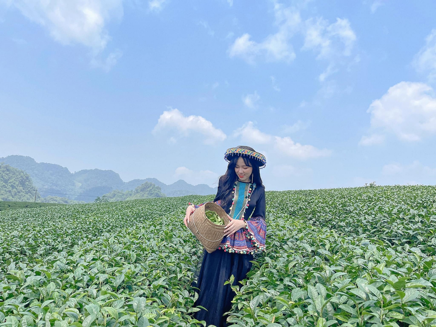 Khám phá Mộc Châu tháng 4 với những trải nghiệm thú vị