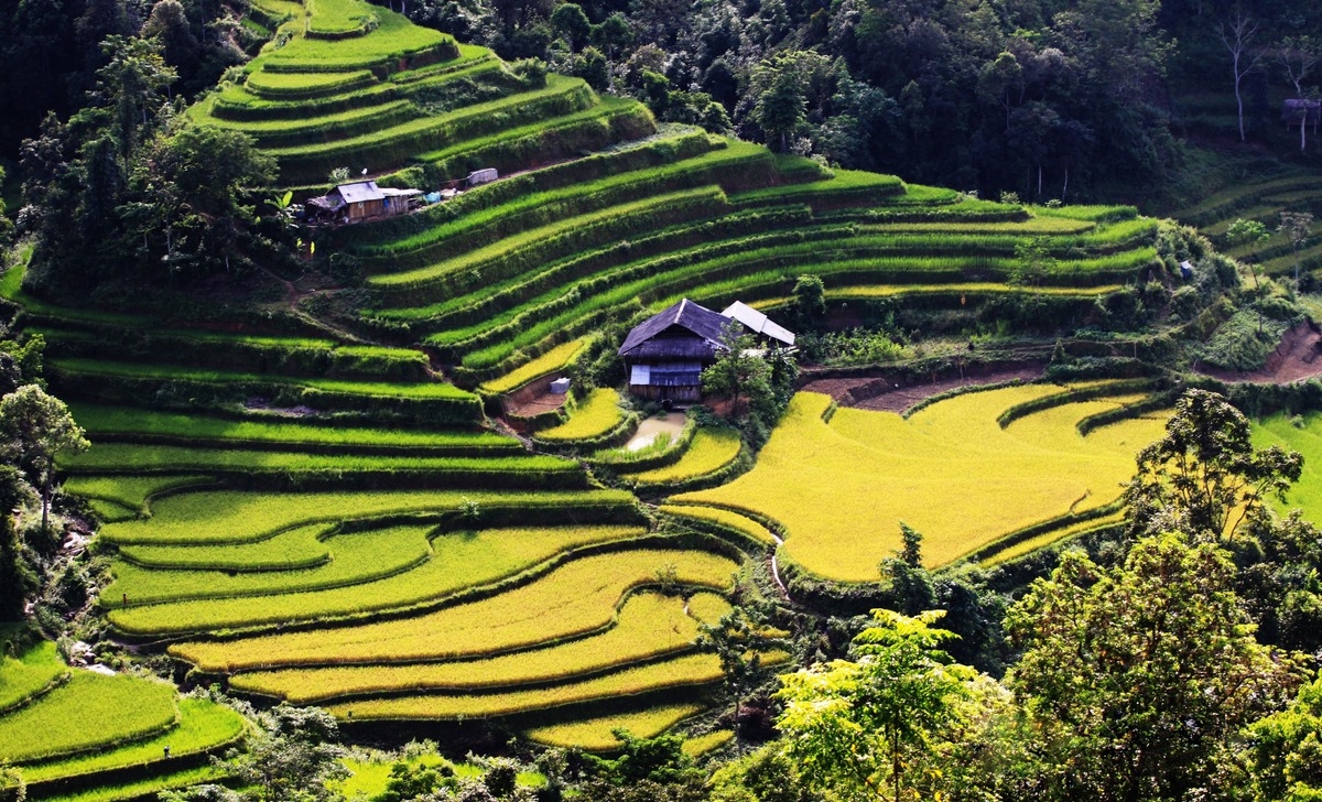 Du lịch Hà Giang tháng 4 có gì thú vị?