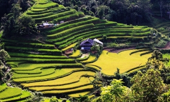 Du lịch Hà Giang tháng 4 có gì thú vị?