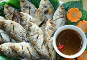 Cá mòi - Món ngon từ dòng sông Hồng