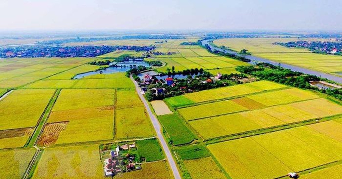 Tin bất động sản ngày 20/4: