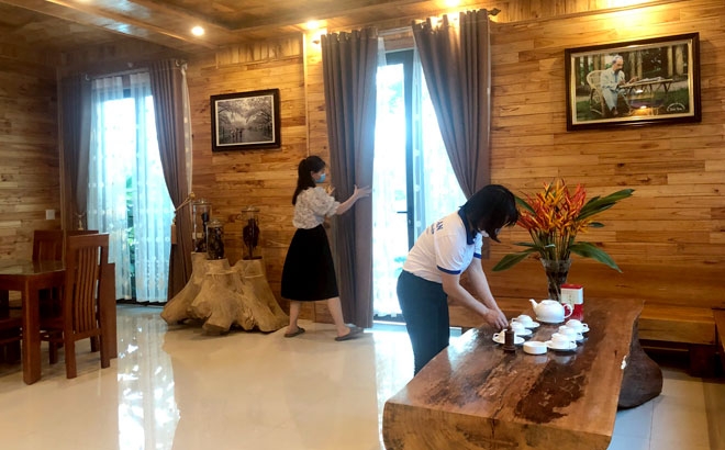 Đất quế Văn Yên - Điểm đến “hút” khách dịp nghỉ lễ