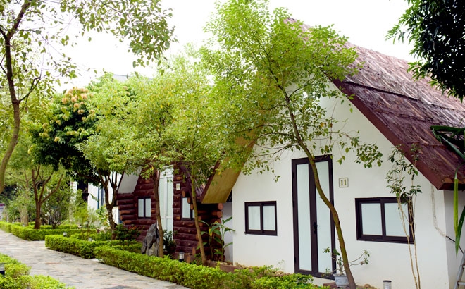 Đất quế Văn Yên - Điểm đến “hút” khách dịp nghỉ lễ