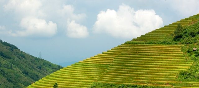 Hãng tin Đức giới thiệu 11 điểm du lịch mê hoặc với 