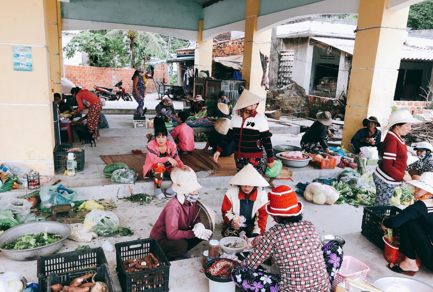 Cù Lao Xanh đã trẻ lại