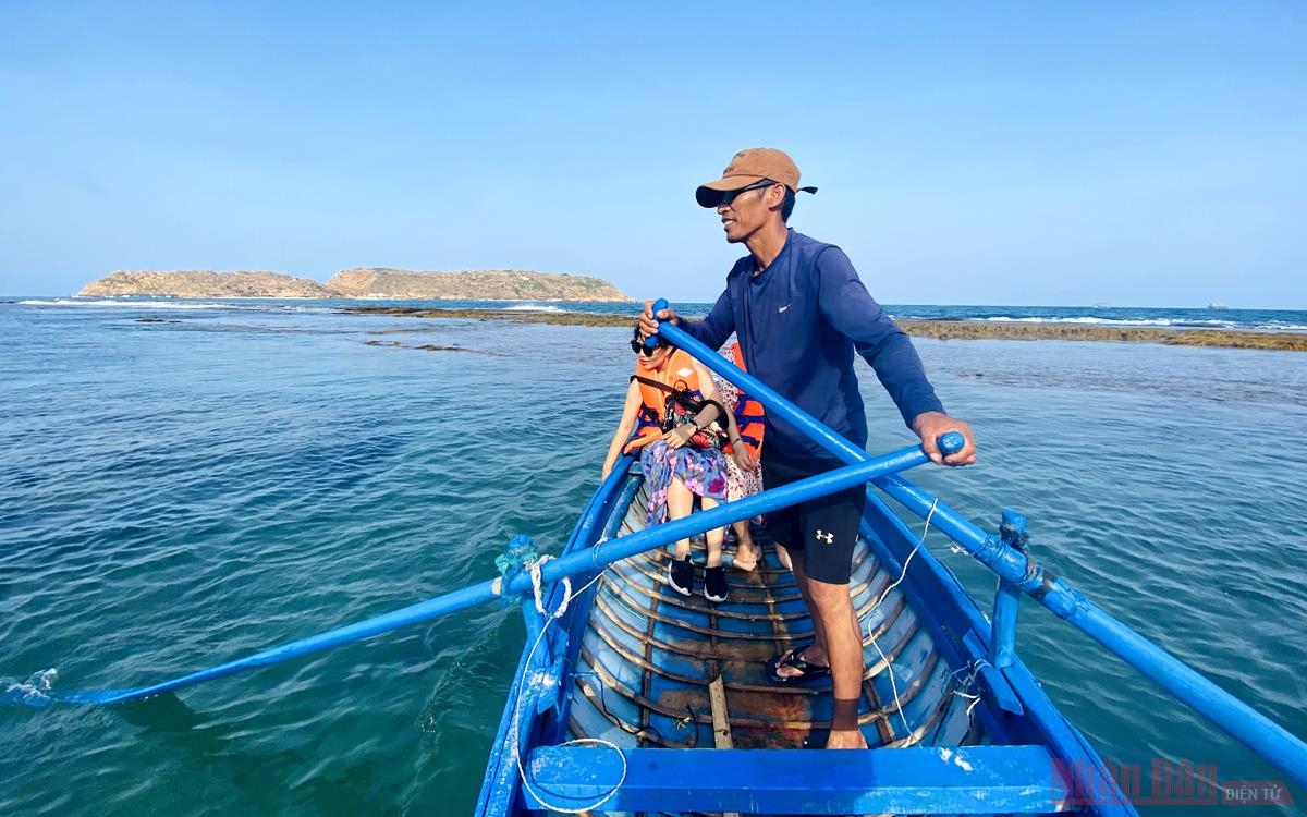 Bức tường bí ẩn dưới đáy biển Quy Nhơn