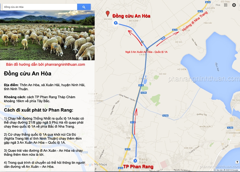 Đồng cừu An Hòa: Điểm “check-in” ấn tượng ở Ninh Thuận