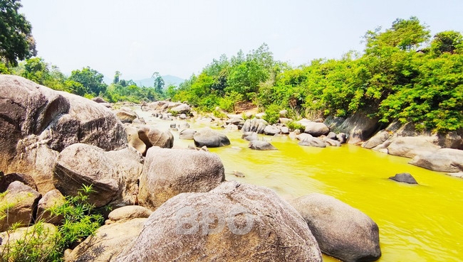 Cuốn hút đại ngàn An Lão