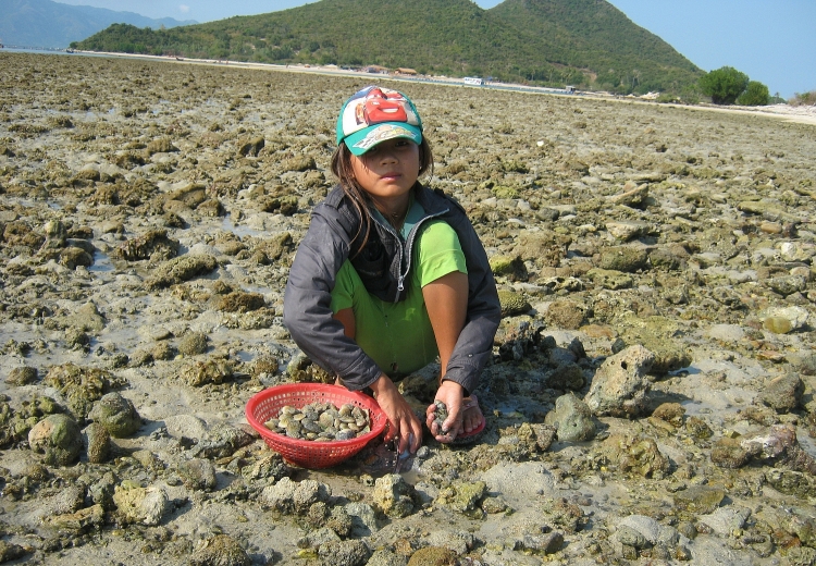 Hồi sinh cho xứ đảo