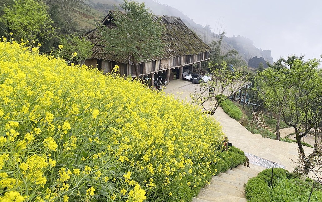 Lạc bước giữa “thiên đường”
