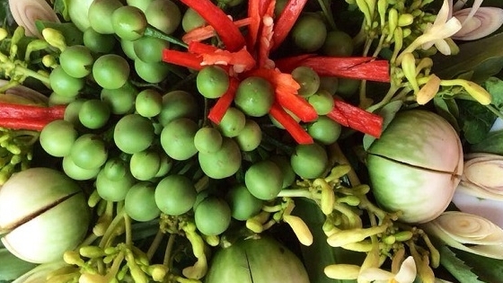 Món nộm rau rừng