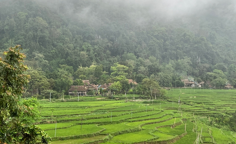 Thức giấc ở Pù Luông