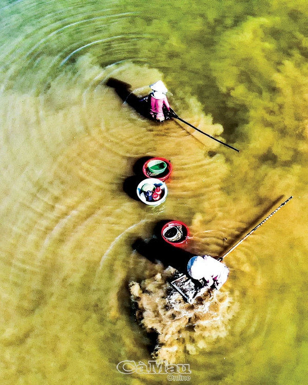 Cào don trên Sông Trà