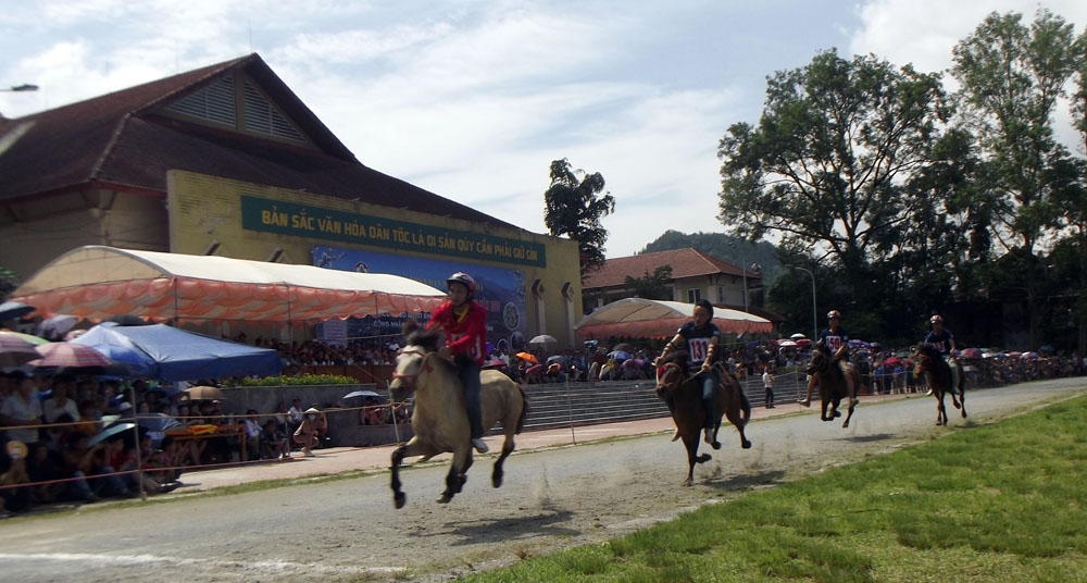 Festival "Cao nguyên trắng" Bắc Hà 2022 diễn ra từ ngày 4 – 12/6