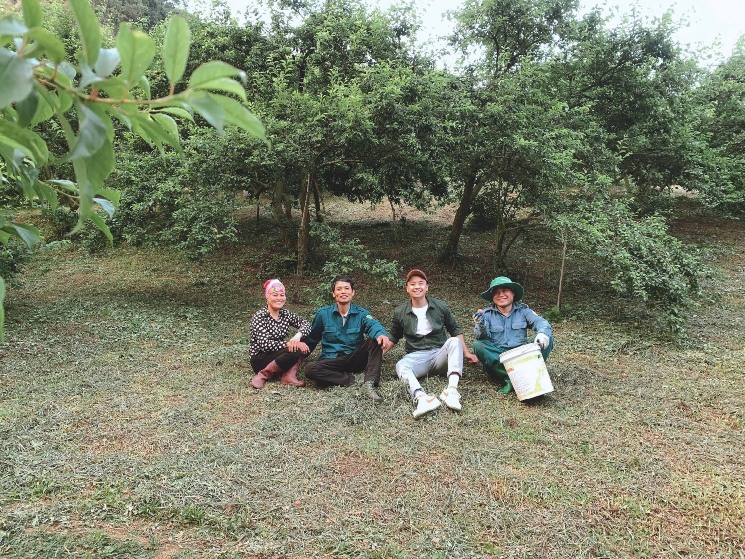 Mộc Châu: 4 điểm hái mận thay thế thung lũng mận Nà Ka bạn nên biết