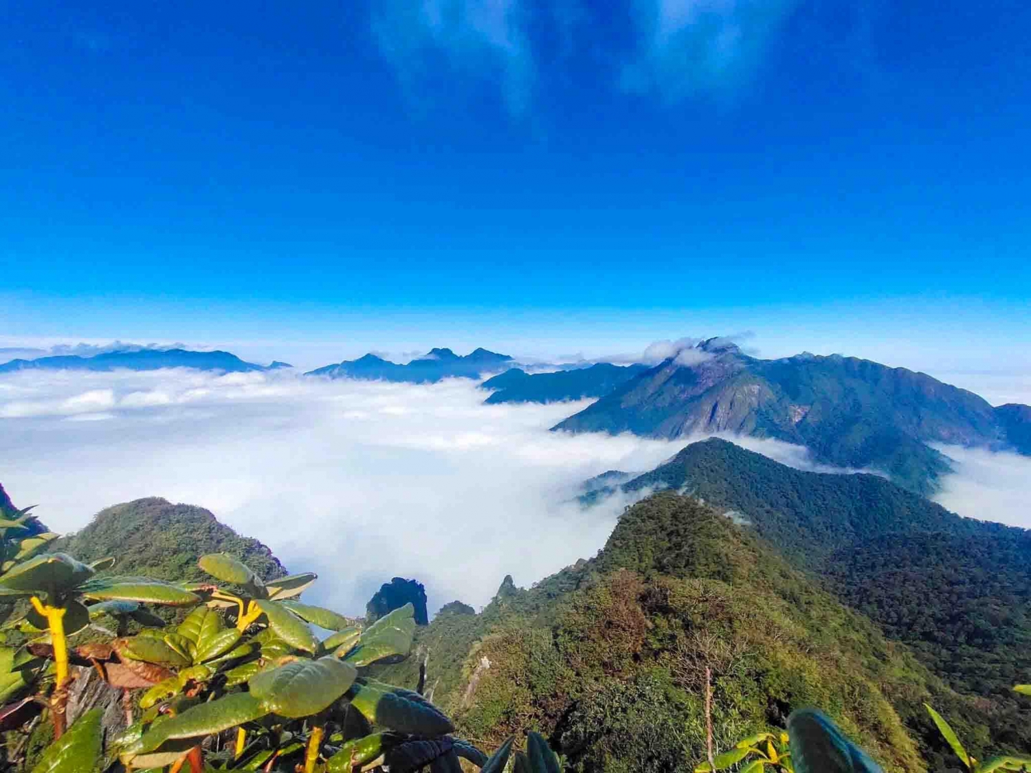 Trekking Tả Liên Sơn - Khám phá khu rừng cổ tích
