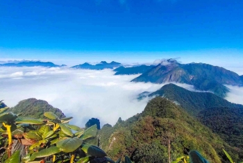 Trekking Tả Liên Sơn - Khám phá khu rừng cổ tích