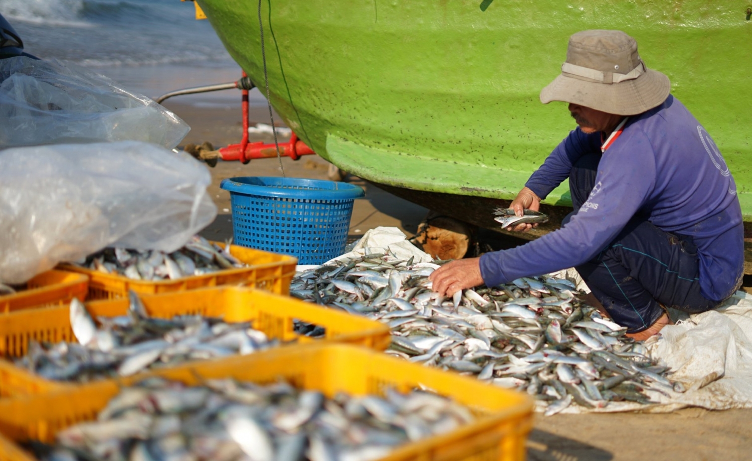Những vòng quay đời lộng Những vòng quay đời lộng