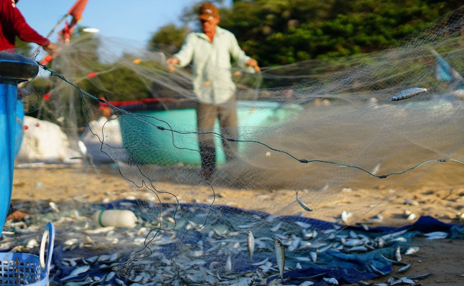 Những vòng quay đời lộng Những vòng quay đời lộng