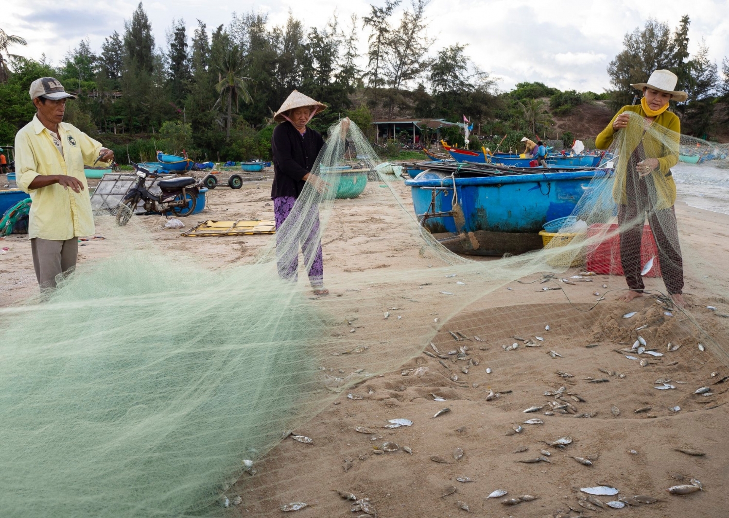 Những vòng quay đời lộng Những vòng quay đời lộng