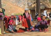 Xách ba lô lên… đi không định trước