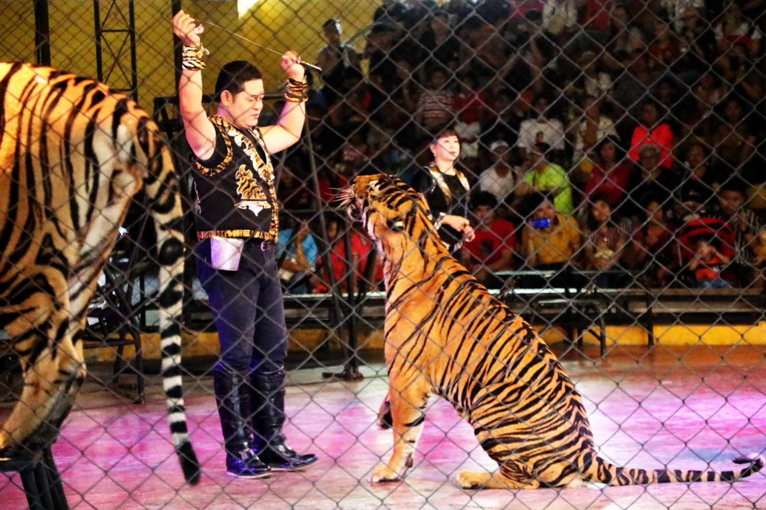 Đến thành phố “ma quỷ” Pattaya