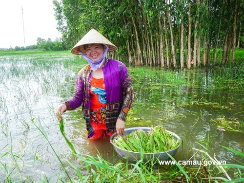 Hẹ nước - Món rau đồng miệt U Minh