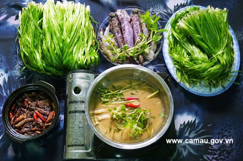 Hẹ nước - Món rau đồng miệt U Minh
