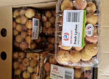 Lô hàng vải thiều đầu tiên được nhập khẩu chính ngạch vào Pháp