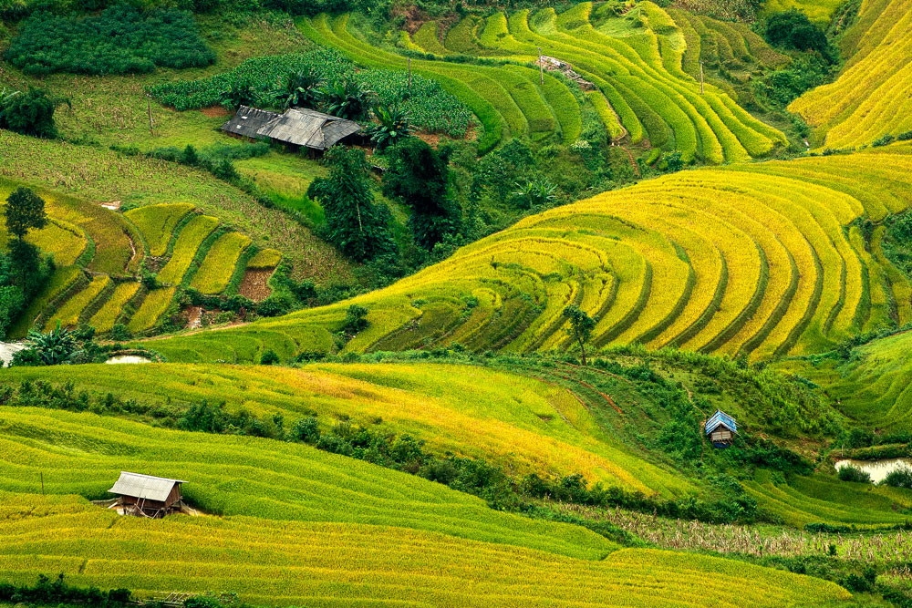 Vẻ đẹp mê hồn của Vẻ đẹp mê hồn của