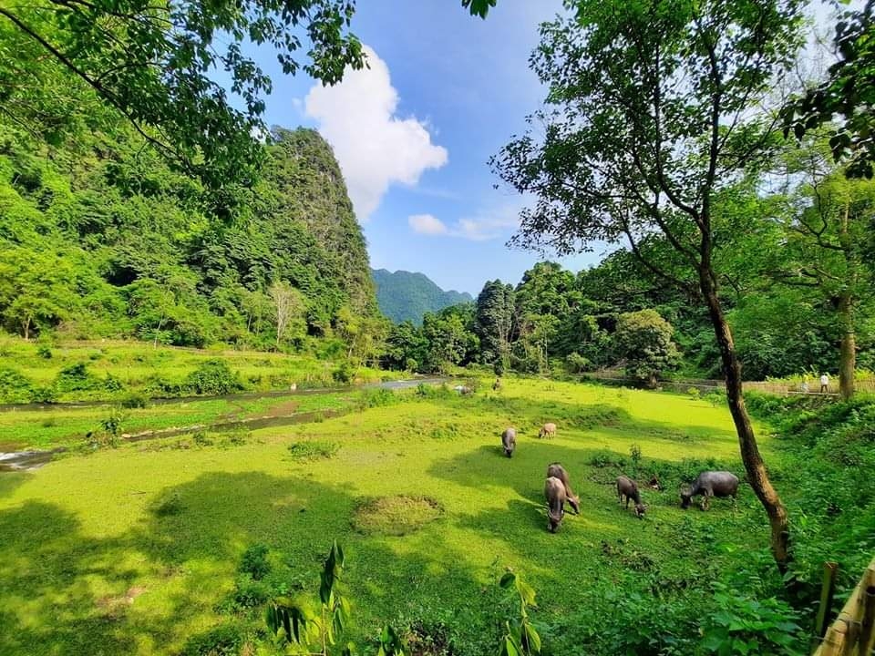 Những trải nghiệm thú vị không thể bỏ qua khi du lịch Pác Bó