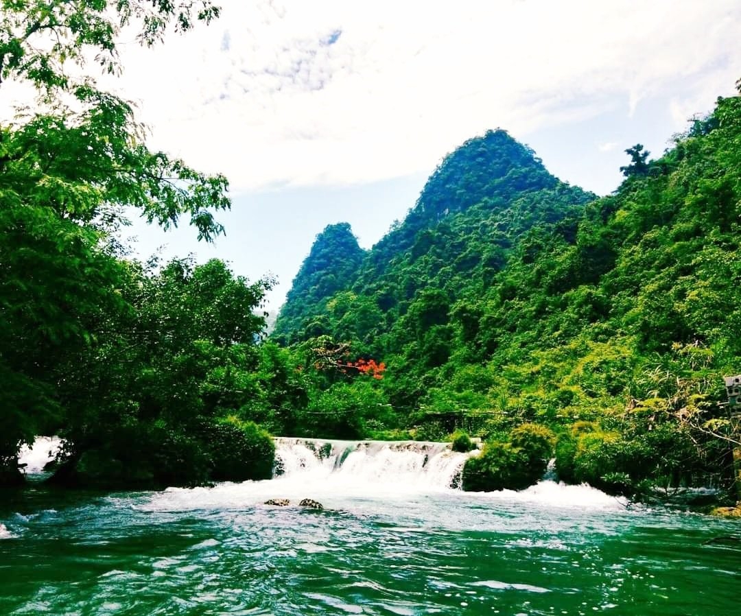Những trải nghiệm thú vị không thể bỏ qua khi du lịch Pác Bó