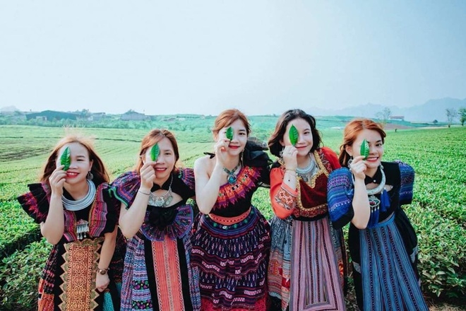 Trốn nóng mùa hè, sao không đến Mộc Châu?